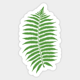 Fern Leaf Sticker